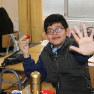 Día de la Actividad Física